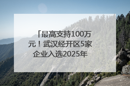 最高支持100万元！武汉经开区5家企业入选2025年度武汉市重点研发计划拟立项项目名单