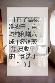 有了高标准农田，亩均纯利增六成（经济聚焦·夏收里的“新选手”）