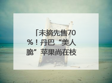 未摘先售70%！丹巴“美人脆”苹果尚在枝头就被预订｜长征路上看四川