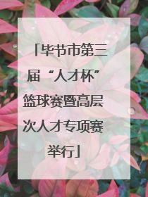毕节市第三届“人才杯”篮球赛暨高层次人才专项赛举行