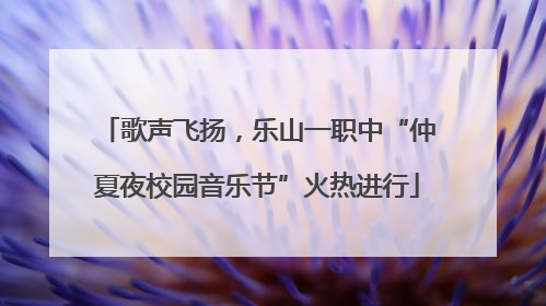 歌声飞扬，乐山一职中“仲夏夜校园音乐节”火热进行