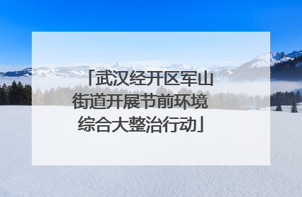 武汉经开区军山街道开展节前环境综合大整治行动
