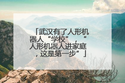 武汉有了人形机器人“学校”，“人形机器人进家庭，这是第一步”