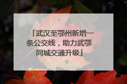武汉至鄂州新增一条公交线，助力武鄂同城交通升级
