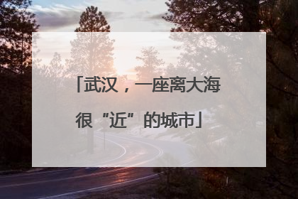 武汉，一座离大海很“近”的城市