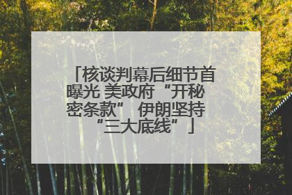 核谈判幕后细节首曝光 美政府“开秘密条款” 伊朗坚持“三大底线”