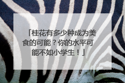 桂花有多少种成为美食的可能？你的水平可能不如小学生！