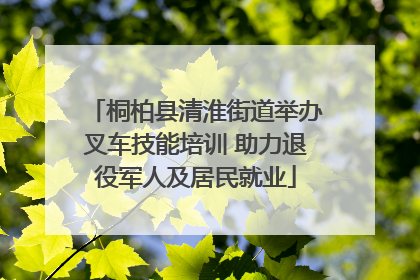 桐柏县清淮街道举办叉车技能培训 助力退役军人及居民就业