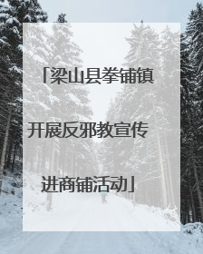 梁山县拳铺镇开展反邪教宣传进商铺活动