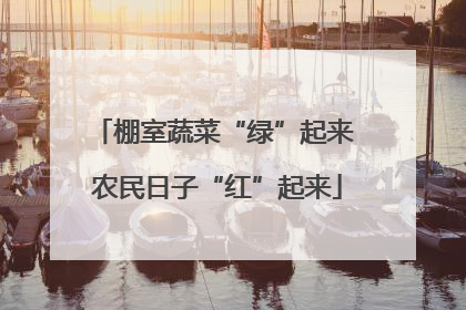 棚室蔬菜“绿”起来 农民日子“红”起来