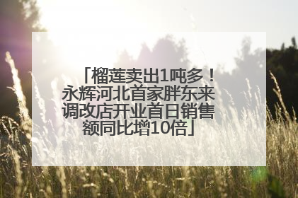 榴莲卖出1吨多！永辉河北首家胖东来调改店开业首日销售额同比增10倍