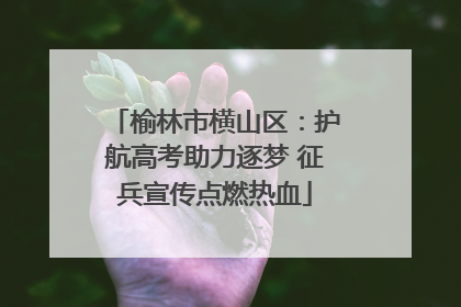榆林市横山区：护航高考助力逐梦 征兵宣传点燃热血