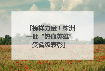 榜样力量！株洲一批“热血英雄”受省级表彰