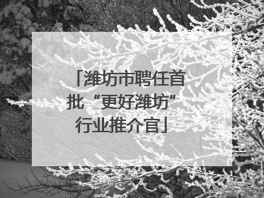 潍坊市聘任首批“更好潍坊”行业推介官