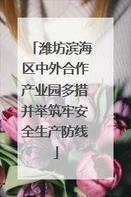 潍坊滨海区中外合作产业园多措并举筑牢安全生产防线