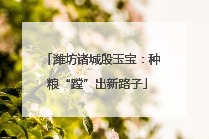 潍坊诸城殷玉宝：种粮“蹚”出新路子