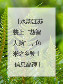 水韵江苏装上“数智大脑”，鱼米之乡驶上信息高速