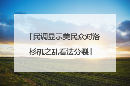 民调显示美民众对洛杉矶之乱看法分裂