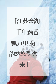 江苏金湖：千年藕香飘万里 荷韵悠悠引客来