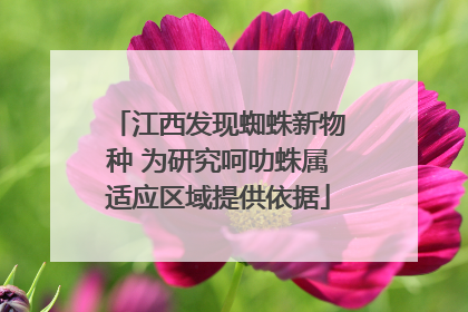 江西发现蜘蛛新物种 为研究呵叻蛛属适应区域提供依据