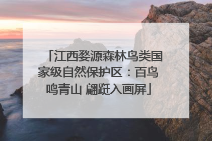 江西婺源森林鸟类国家级自然保护区：百鸟鸣青山 翩跹入画屏