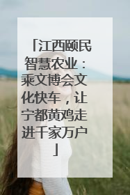 江西颐民智慧农业：乘文博会文化快车，让宁都黄鸡走进千家万户