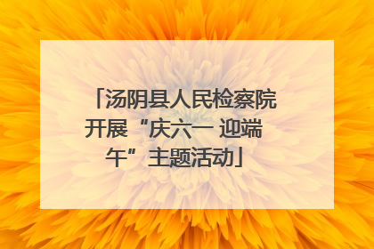 汤阴县人民检察院开展“庆六一 迎端午”主题活动