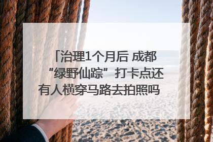 治理1个月后 成都“绿野仙踪”打卡点还有人横穿马路去拍照吗？｜民情瞭望
