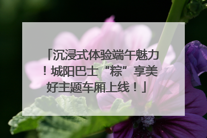 沉浸式体验端午魅力！城阳巴士“粽”享美好主题车厢上线！