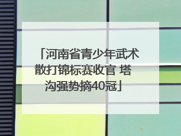 河南省青少年武术散打锦标赛收官 塔沟强势摘40冠