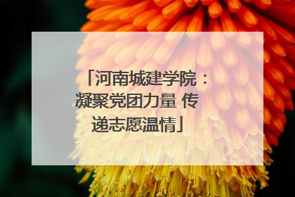 河南城建学院：凝聚党团力量 传递志愿温情