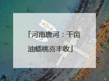 河南唐河：千亩油蟠桃喜丰收