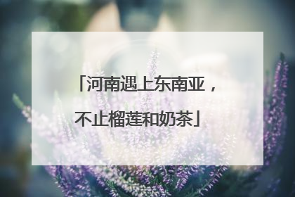 河南遇上东南亚，不止榴莲和奶茶