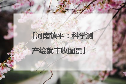河南镇平：科学测产绘就丰收图景