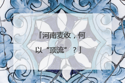 河南麦收，何以“顶流”？