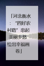 河北衡水：“四好农村路”串起美丽乡愁 绘出幸福画卷