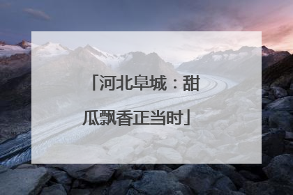 河北阜城：甜瓜飘香正当时