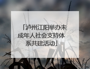 泸州江阳举办未成年人社会支持体系共建活动