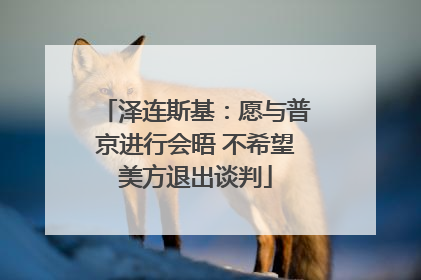 泽连斯基：愿与普京进行会晤 不希望美方退出谈判