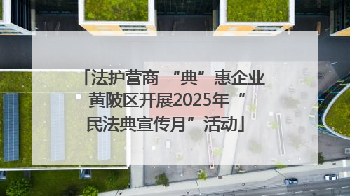 法护营商 “典”惠企业 黄陂区开展2025年“民法典宣传月”活动
