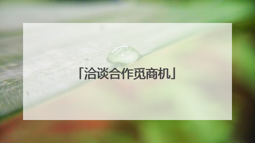 洽谈合作觅商机