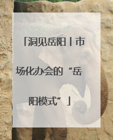 洞见岳阳丨市场化办会的“岳阳模式”