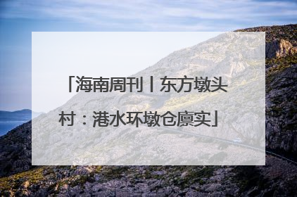海南周刊丨东方墩头村：港水环墩仓廪实