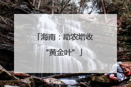 海南：助农增收 “黄金叶”