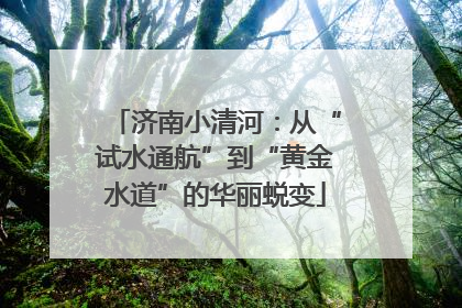 济南小清河：从“试水通航”到“黄金水道”的华丽蜕变