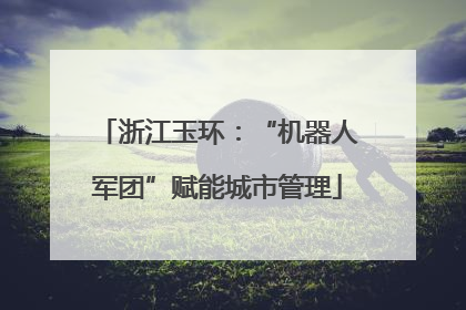 浙江玉环：“机器人军团”赋能城市管理