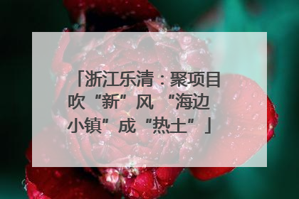 浙江乐清：聚项目吹“新”风 “海边小镇”成“热土”