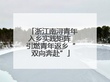 浙江南浔青年入乡实践矩阵 引燃青年返乡“双向奔赴”