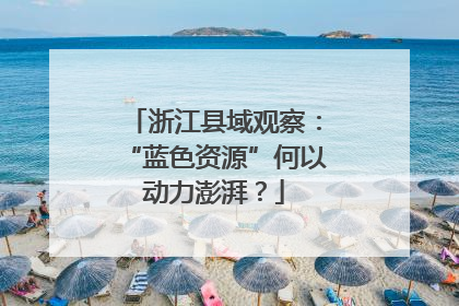 浙江县域观察：“蓝色资源”何以动力澎湃？