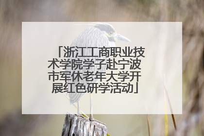 浙江工商职业技术学院学子赴宁波市军休老年大学开展红色研学活动